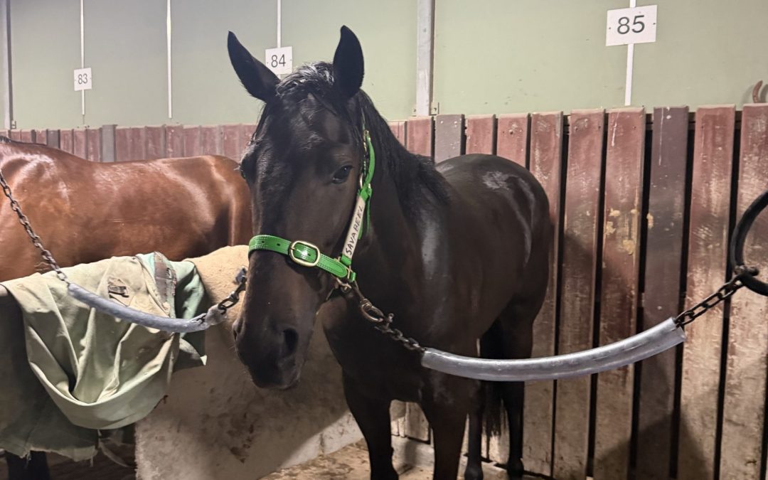 Un-named (Savabeel – Ethical Award)