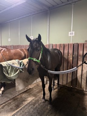 Un-named (Savabeel - Ethical Award)